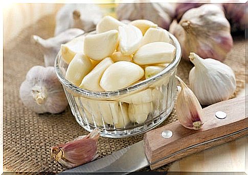 Garlic