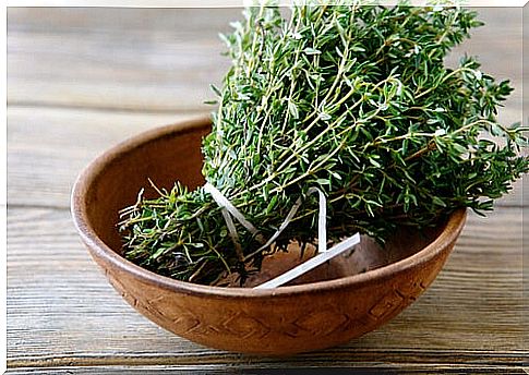 The antiparasitic properties of thyme