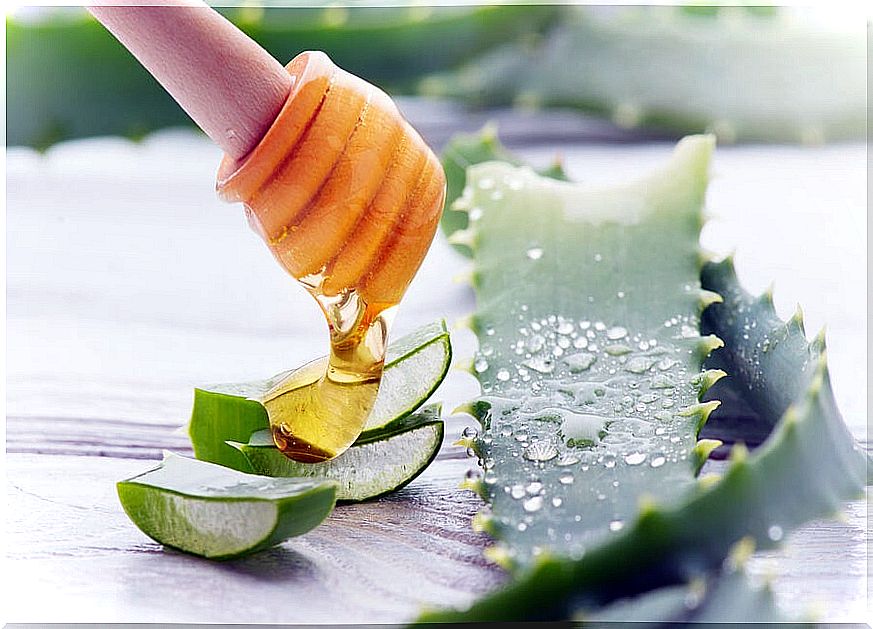 Aloe vera juice and honey