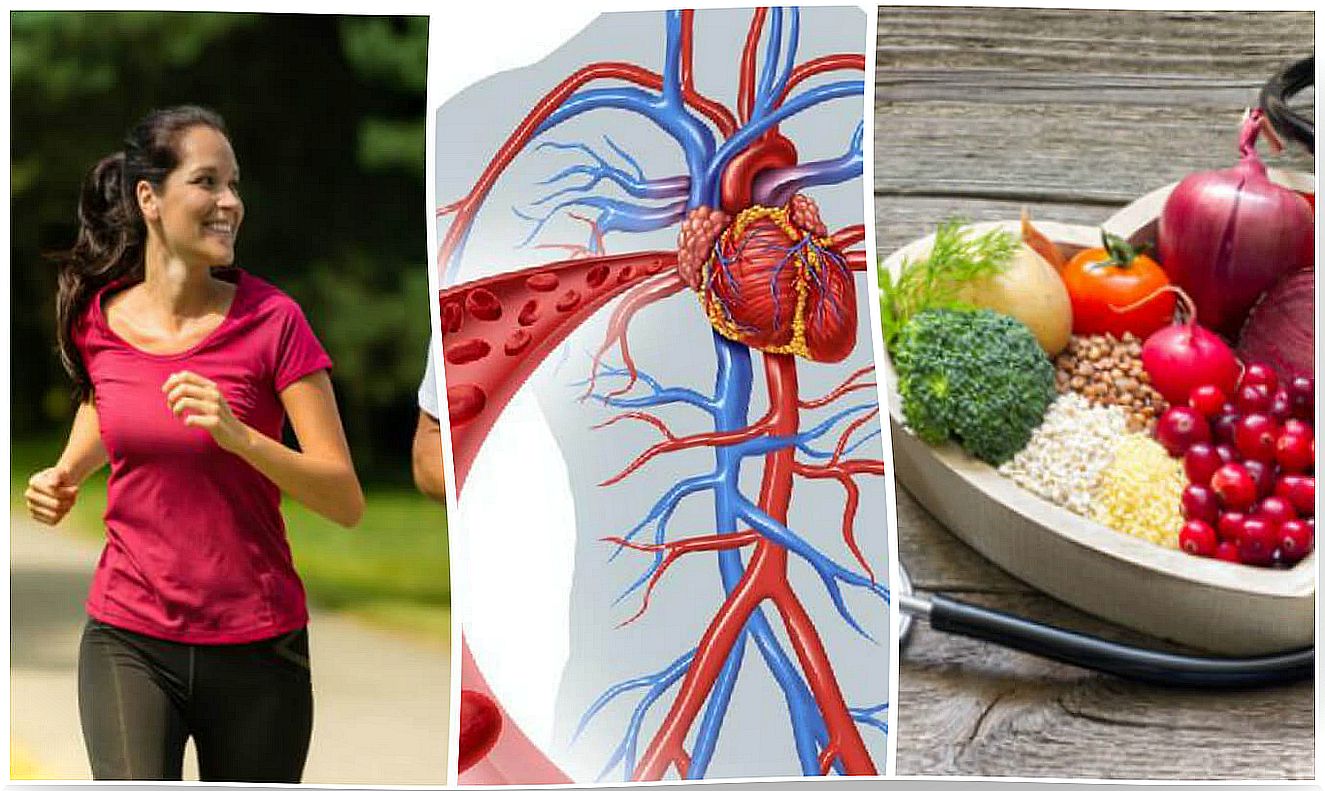 6 healthy habits to take care of cardiovascular health