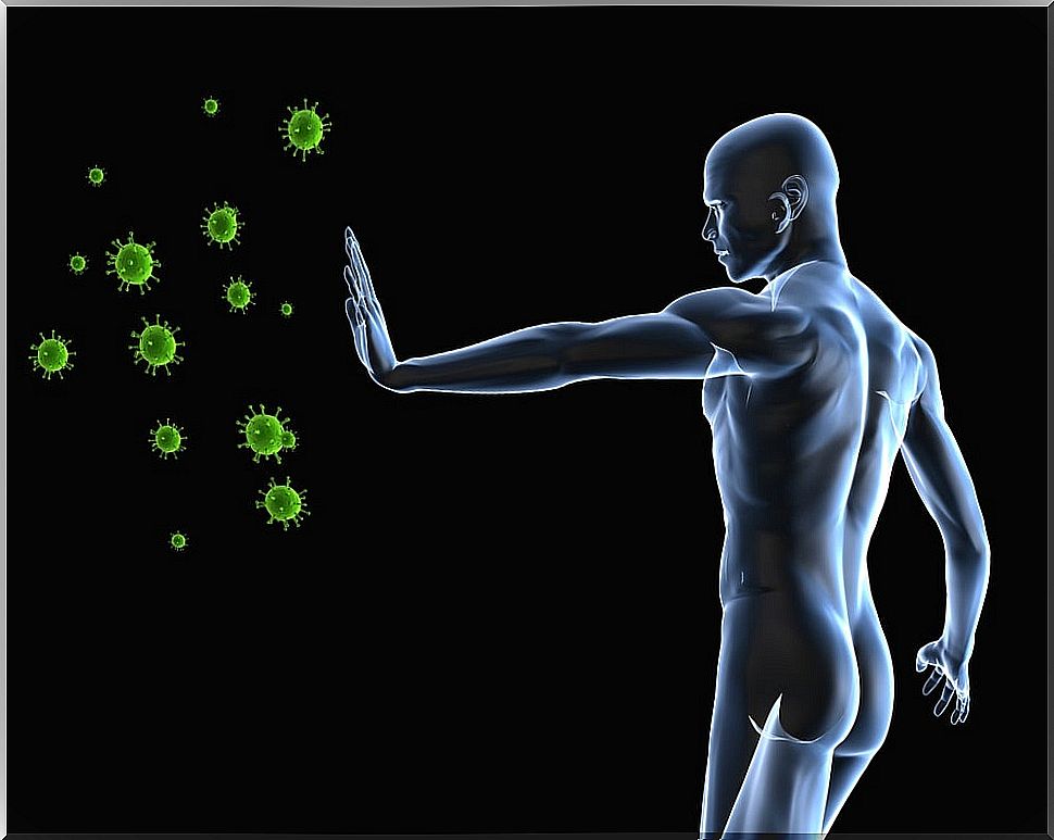 Powers of the immune system