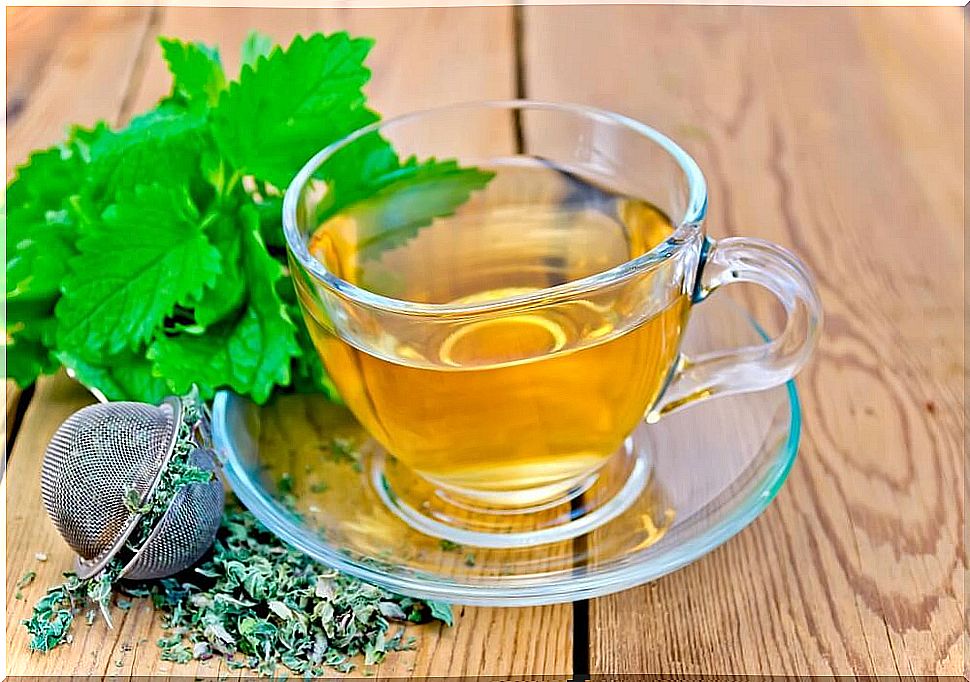 Infusion of lemon balm to relieve stress