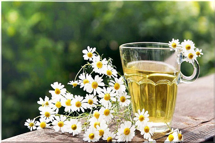 Chamomile tea and flowers