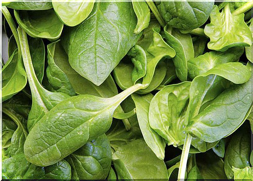 Benefits of spinach