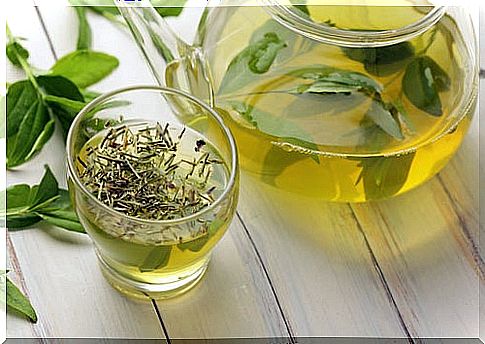 Green tea can help you lose weight