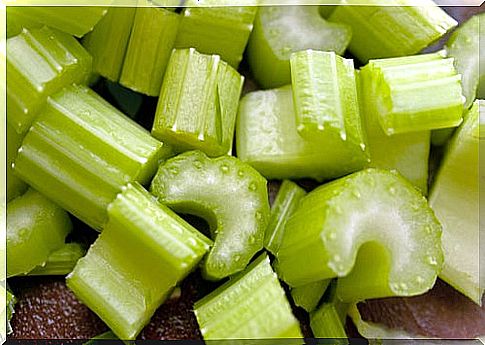 Celery-loaded-with-properties-also-for-weight-loss