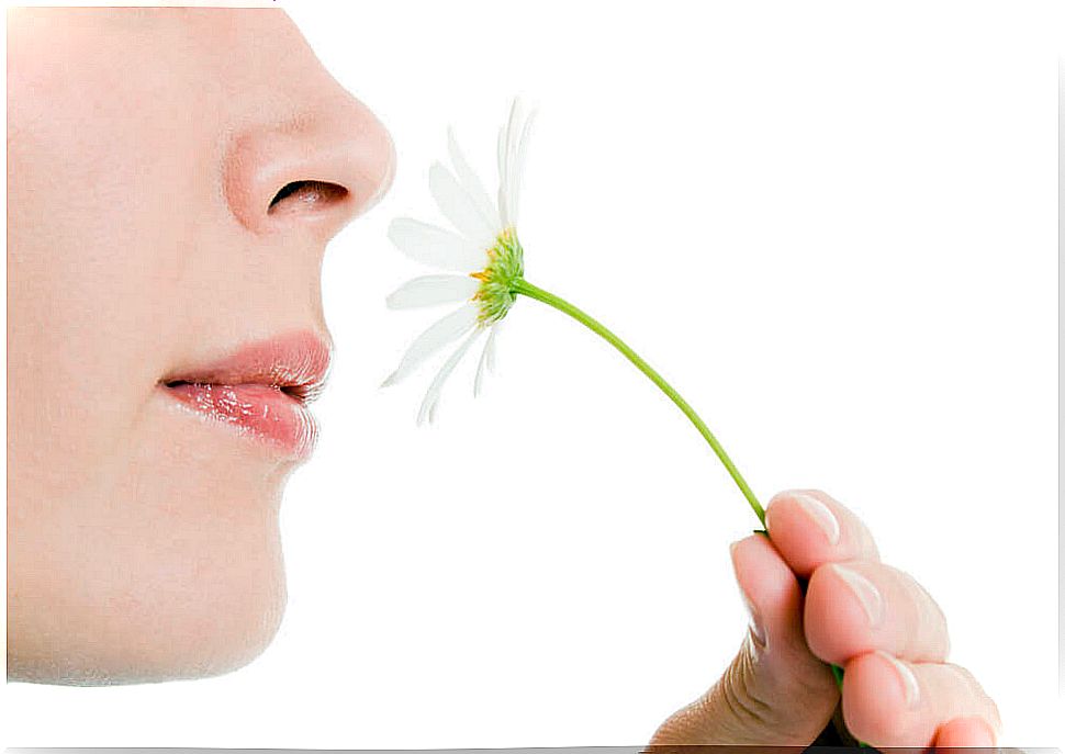 Anosmia or loss of smell