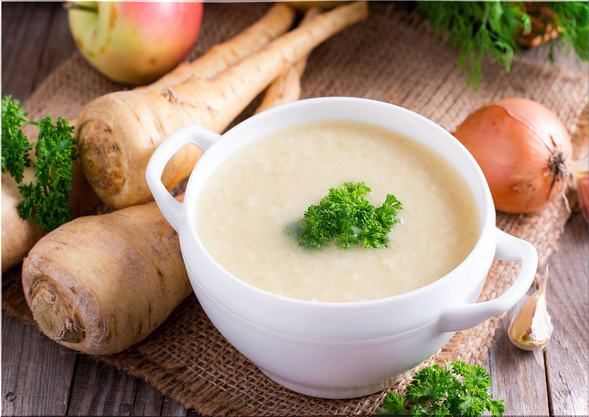 Discover the fat burning soup diet