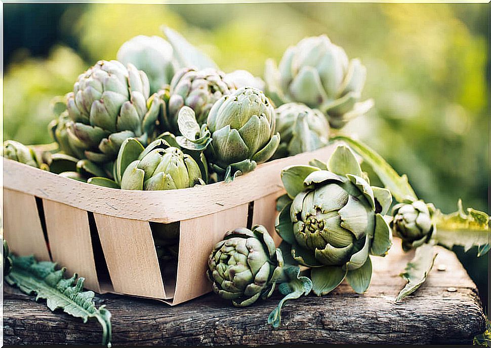 Artichoke to cure fatty liver