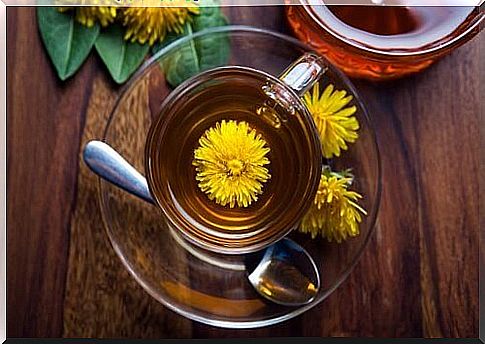 Infusion of dandelion.