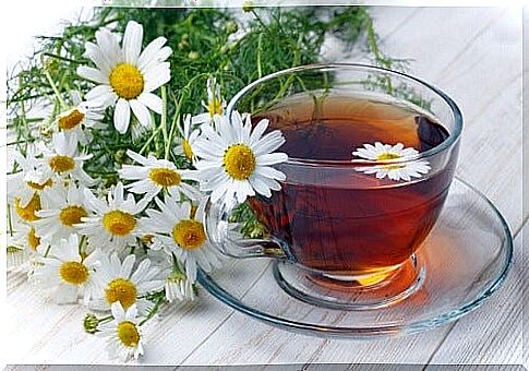 Chamomile for hives