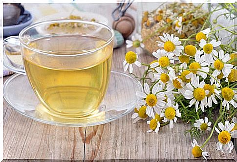 Chamomile infusion to bleach hair