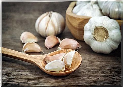 Garlic