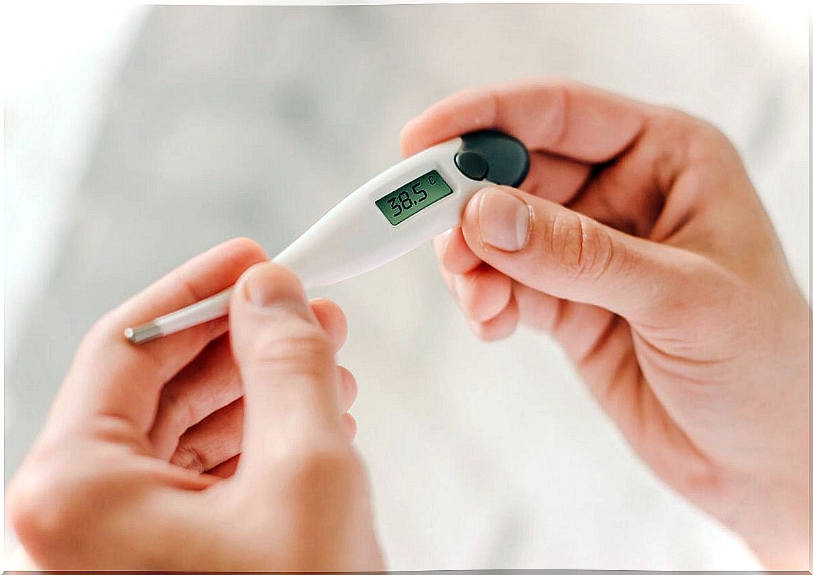 Contact digital thermometer