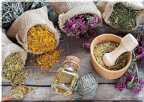 Aromatic herbs allow us to have more hyaluronic acid in our dermis