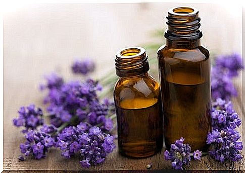 Two bottles of lavender oil.