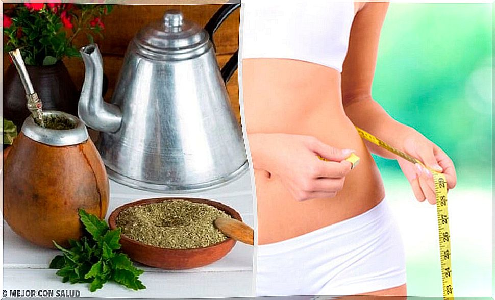 Mate: How much does it help you lose weight?