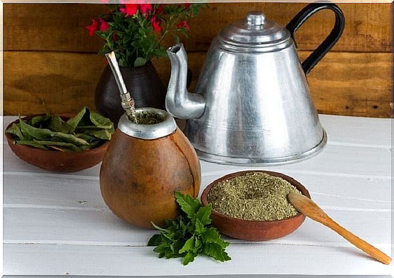 yerba-mate