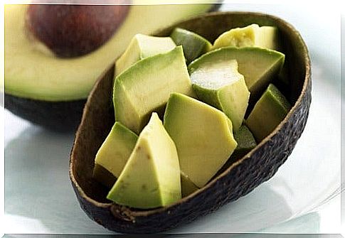 Avocado