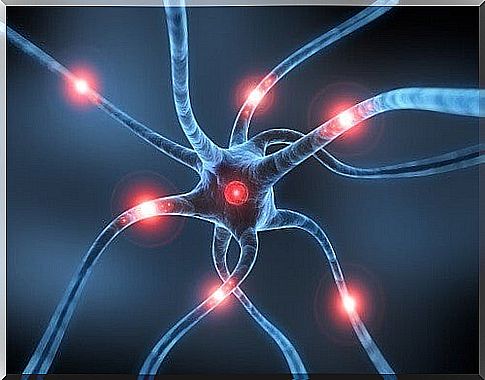 Parkinson's disease neurons