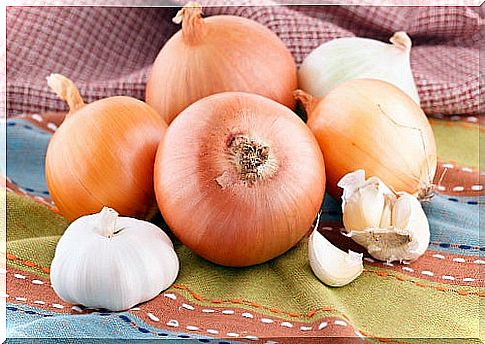 Onion and garlic are also not suitable for animals.