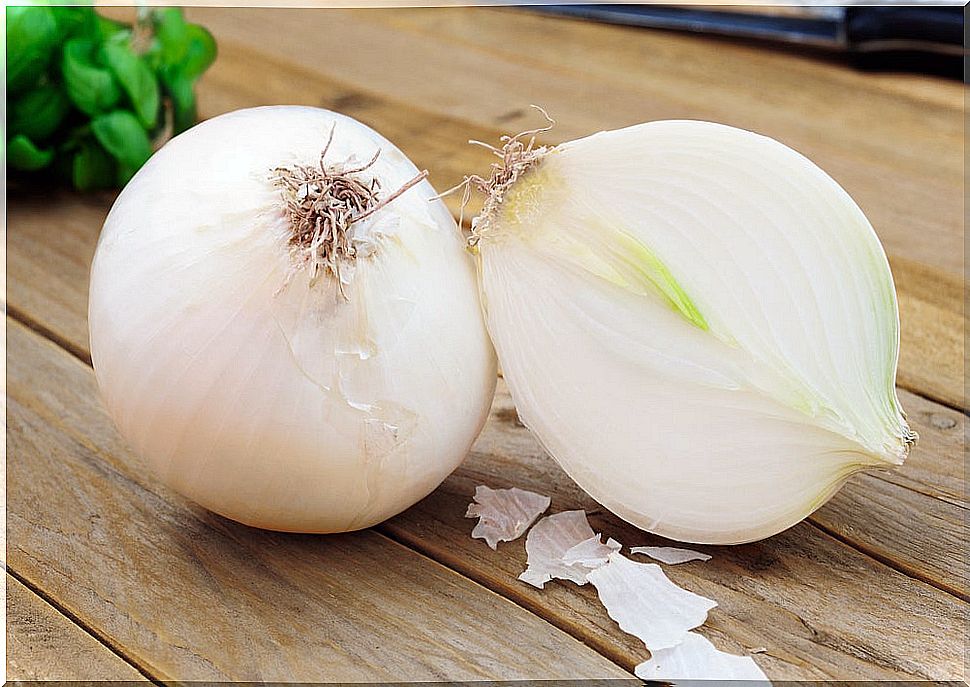 Onion